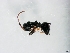  ( - ETKPMT0020)  @13 [ ] No Rights Reserved (2012) Unspecified Unspecified