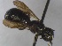  ( - CarrGr2Hym03)  @12 [ ] Unspecified (default): All Rights Reserved  Unspecified Unspecified