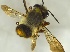  ( - GibaFo1Hym1002)  @12 [ ] Unspecified (default): All Rights Reserved  Unspecified Unspecified