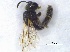  ( - SprKHym0601)  @12 [ ] Unspecified (default): All Rights Reserved  Unspecified Unspecified