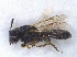  ( - SprKHym0604)  @12 [ ] Unspecified (default): All Rights Reserved  Unspecified Unspecified