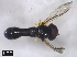  ( - KSGr1Dipt17)  @12 [ ] Unspecified (default): All Rights Reserved  Unspecified Unspecified