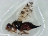  ( - MSIGRDIPT0502)  @12 [ ] No Rights Reserved (2012) Unspecified Unspecified
