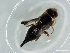  ( - MSIGRDIPT0503)  @12 [ ] No Rights Reserved (2012) Unspecified Unspecified