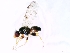  ( - MSIGRDIPT0505)  @12 [ ] No Rights Reserved (2012) Unspecified Unspecified
