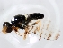  ( - MSIGRDIPT0901)  @13 [ ] No Rights Reserved (2012) Unspecified Unspecified