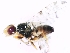  ( - MSIGRDIPT0902)  @12 [ ] No Rights Reserved (2012) Unspecified Unspecified
