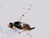  ( - MSIGRDIPT0904)  @12 [ ] No Rights Reserved (2012) Unspecified Unspecified