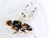  ( - MSIGRDIPT0905)  @12 [ ] No Rights Reserved (2012) Unspecified Unspecified