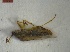  ( - DrumGr4Hemi0102)  @12 [ ] Unspecified (default): All Rights Reserved  Unspecified Unspecified