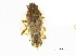  ( - PalmGr1Hemi2502)  @12 [ ] Unspecified (default): All Rights Reserved  Unspecified Unspecified