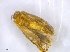  ( - IphiGr4Lepi35)  @12 [ ] Unspecified (default): All Rights Reserved  Unspecified Unspecified