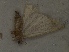  ( - KJ1812)  @12 [ ] Unspecified (default): All Rights Reserved  Unspecified Unspecified