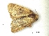  ( - KJ1888)  @12 [ ] Unspecified (default): All Rights Reserved  Unspecified Unspecified