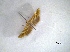  ( - MagaMain02Lepi19)  @12 [ ] Unspecified (default): All Rights Reserved  Unspecified Unspecified