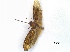 ( - MagaMain02Lepi42)  @12 [ ] Unspecified (default): All Rights Reserved  Unspecified Unspecified