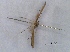  ( - MagaMain02Lepi68)  @12 [ ] Unspecified (default): All Rights Reserved  Unspecified Unspecified