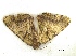  ( - Pha100)  @12 [ ] Unspecified (default): All Rights Reserved  Unspecified Unspecified