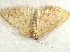  ( - Pha31)  @12 [ ] Unspecified (default): All Rights Reserved  Unspecified Unspecified