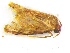  ( - Pha90)  @12 [ ] Unspecified (default): All Rights Reserved  Unspecified Unspecified