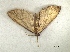  ( - VCA8)  @12 [ ] Unspecified (default): All Rights Reserved  Unspecified Unspecified