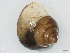  ( - KENFO1MOL01)  @12 [ ] No Rights Reserved (2012) Unspecified Unspecified