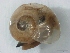  ( - KENFO1MOL0205)  @13 [ ] No Rights Reserved (2012) Unspecified Unspecified