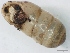  ( - KENFO1MOL03)  @11 [ ] No Rights Reserved (2012) Unspecified Unspecified