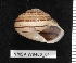  ( - NMSA W840001)  @14 [ ] No Rights Reserved (2012) Unspecified Unspecified