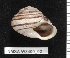  ( - NMSA W840002)  @13 [ ] No Rights Reserved (2012) Unspecified Unspecified