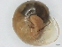  ( - SPRGRMOL0203)  @11 [ ] No Rights Reserved (2012) Unspecified Unspecified