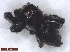  ( - DrumGr3Arach04)  @12 [ ] Unspecified (default): All Rights Reserved  Unspecified Unspecified