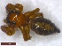  ( - DrumGr4Arach06)  @12 [ ] Unspecified (default): All Rights Reserved  Unspecified Unspecified