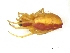  ( - NewGGr2Arach24)  @13 [ ] Unspecified (default): All Rights Reserved  Unspecified Unspecified