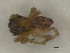  ( - SpringGr3Arach0704)  @12 [ ] Unspecified (default): All Rights Reserved  Unspecified Unspecified