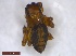  ( - SpringGr4Arach13)  @12 [ ] Unspecified (default): All Rights Reserved  Unspecified Unspecified