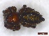  ( - UKZNGr2Arach08)  @12 [ ] Unspecified (default): All Rights Reserved  Unspecified Unspecified