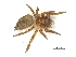  ( - UKZNPmbGrArach09)  @13 [ ] Unspecified (default): All Rights Reserved  Unspecified Unspecified