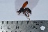  ( - VESPAS13)  @12 [ ] Unspecified (default): All Rights Reserved  Unspecified Unspecified