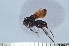  ( - VESPAS31)  @12 [ ] Unspecified (default): All Rights Reserved  Unspecified Unspecified