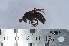  ( - VESPAS47)  @12 [ ] Unspecified (default): All Rights Reserved  Unspecified Unspecified