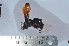  ( - VESPAS51)  @13 [ ] Unspecified (default): All Rights Reserved  Unspecified Unspecified