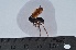  ( - VESPAS54)  @12 [ ] Unspecified (default): All Rights Reserved  Unspecified Unspecified
