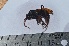  ( - VESPAS57)  @13 [ ] Unspecified (default): All Rights Reserved  Unspecified Unspecified