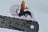  ( - VESPAS70)  @13 [ ] Unspecified (default): All Rights Reserved  Unspecified Unspecified