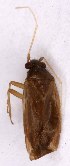  ( - EUBUG_1028_f_Plespine9)  @12 [ ] Unspecified (default): All Rights Reserved  Unspecified Unspecified