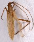  ( - EUBUG_1162_f_Megarect4)  @11 [ ] Unspecified (default): All Rights Reserved  Unspecified Unspecified