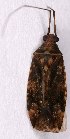  ( - EUBUG_1172_f_Phytpopu2)  @13 [ ] Unspecified (default): All Rights Reserved  Unspecified Unspecified