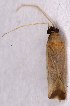  ( - EUBUG_1177_m_Phylmela12)  @13 [ ] Unspecified (default): All Rights Reserved  Unspecified Unspecified