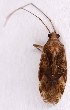  ( - EUBUG_1213_f_Phytpopu5)  @12 [ ] Unspecified (default): All Rights Reserved  Unspecified Unspecified
